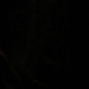 Meet your Posher, Cody